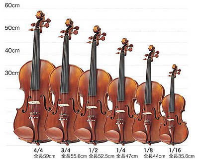 製造元特別価格 ピコまる様専用 分数 バイオリン 1/2 - touahria.com